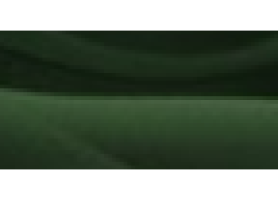 Modefarbe: Nachtwald**