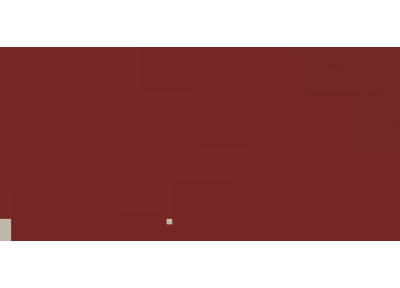 Trend Color: Wild Ruby**