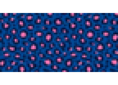 Standardfarbe: Leo Blue**