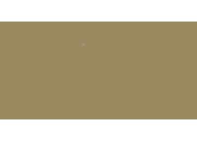 Farbe: Bronce